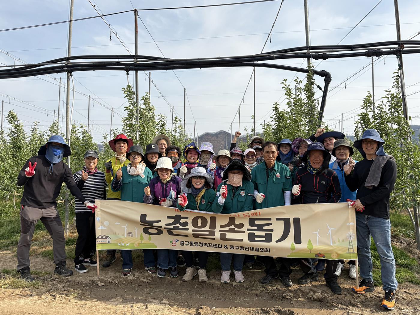 0515 중구동 영농봉사단 농촌일손돕기 활동 펼쳐 (1).jpg