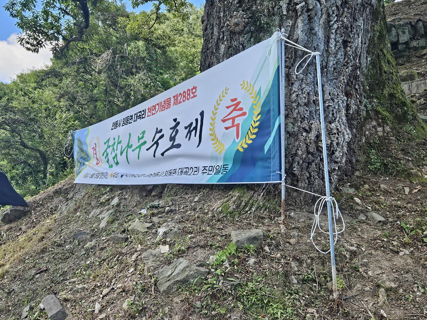 0818 임동면 대곡2리, 마을의 안녕 기원하는 ‘굴참나무 동제 ’개최 (2).jpg