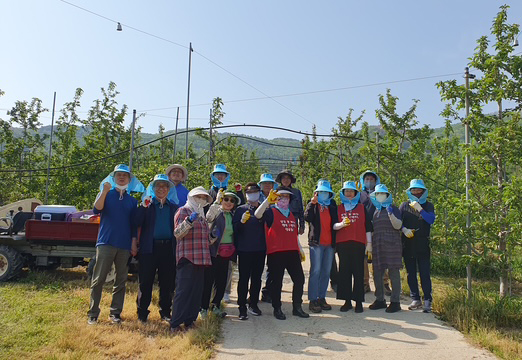 0514 명륜동 영농지원단 산불피해 농가 지원 (1).JPG