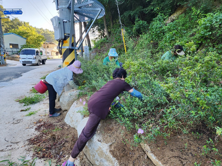 0818 안기동 미두리 주민들, 공동체의 하루를 즐기다 (3).jpg
