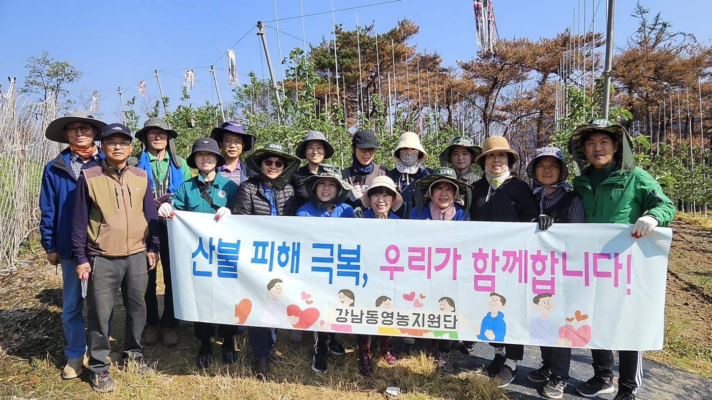 0514 강남동 영농지원단, 길안면 찾아 영농봉사 실시 (1).jpg